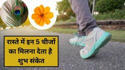 अगर रास्ते में दिख जाएं ये 5 चीजें, तो समझें अब आपकी किस्मत खुलने वाली है, मिलने वाला है धन और सफलता
