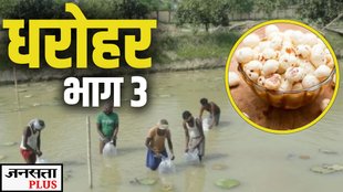 makhana, bihar elections, dharohar