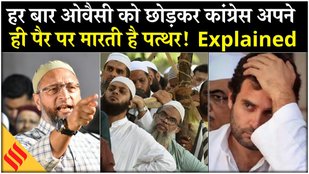 Bihar Election Result Explained Owaisi Factor, Rahul Gandhi, Tejashwi VS Tej Pratap, What went wrong
