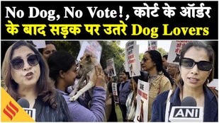SC on Stray Dogs: आवारा कुत्तों को हटाने के ऑर्डर से भड़के लोग, सुप्रीम कोर्ट पर कही ये बात