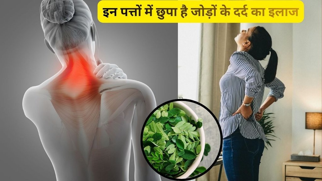 Vitamin B12 rich leaves, Moringa leaves, joint pain natural remedy, bone cracking sound causes, Ayurveda for bone health, moringa herbal treatment for arthritis