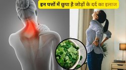 30 से 40 साल की उम्र में ही हड्डियों से कट कट की आती है आवाज़, विटामिन B12 से भरपूर इन पत्तियों का करें सेवन, जोड़ों के दर्द का हैं रामबाण इलाज