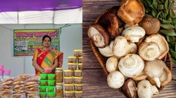 सिर्फ 500 रुपये में शुरू किया मशरूम का बिजनेस, जानें कैसे बिहार के दरभंगा की एक हाउसवाइफ ने बदल दी पूरे परिवार की जिंदगी , हर महीने 2 लाख की कमाई
