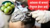 कम उम्र में बच्चे कहने लगे हैं अंकल… तो घर में आंवला से इस तरह से नेचुरल हेयर डाई बनाकर बालों को करें काला