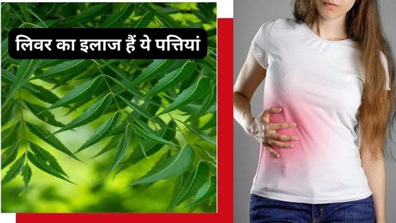 neem for liver,liver health,Detoxification,antioxidants in neem,neem for liver health,neem oil,eczema remedy,psoraisis remedy,neem for dandruff