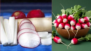 Radish, nutrition, health, poison, milk, skin disease risk, radish and milk, radish consumption time radish benefits, foods avoid with raddish, radish harms, Wrong Food Combination, bad food combinations, worst food combinations for health, worst food combinations for digestion,