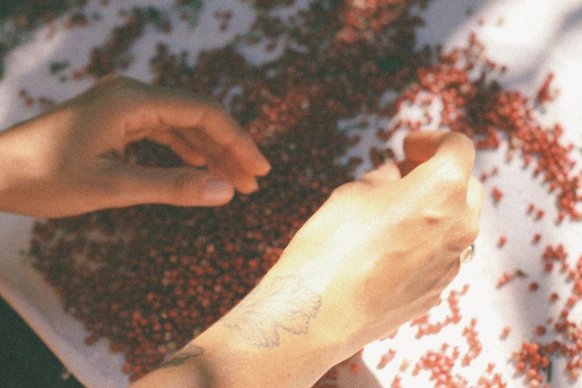 red candy hidden ingredients