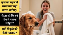सर्दियों में पेट्स को नहलाते समय बरतें ये सावधानी, बीमार पड़ने का नहीं रहेगा डर