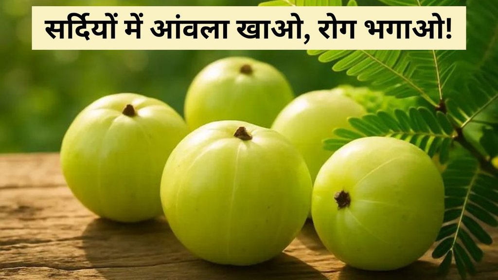 sardi me amla khane ke fayde | Sardi mein amla kaise khana chahiye | How to Consume Amla in Winter sardi me amla khane ke fayde | Sardi mein amla kaise khana chahiye | How to Consume Amla in Winter