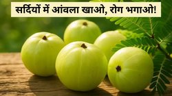 सर्दियों में इन 5 तरीकों से करें आंवले का सेवन, ठंड में रहेंगे स्वस्थ और बढ़ेगी शरीर की इम्यूनिटी