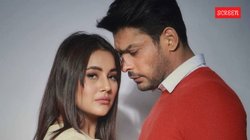 ‘वो मुझे बहुत मैच्योरिटी देकर गया’- शहनाज गिल ने बताया सिद्धार्थ शुक्ला की मौत के बाद उनकी जिंदगी में हुए ये बदलाव