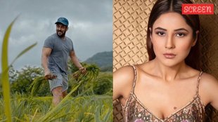 Salman Khan, shehnaz Gill