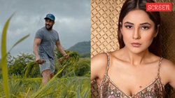 ‘हम सबने वहां पार्टी की…’, शहनाज गिल ने बताया अपने पनवेल वाले फार्महाउस पर क्या करते हैं सलमान खान