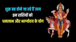 2026 की शुरुआत में वैभव के दाता शुक्र होंगे उदय, इन राशियों के शुरू होंगे अच्छे दिन, धन- दौलत में अपार बढ़ोतरी के योग