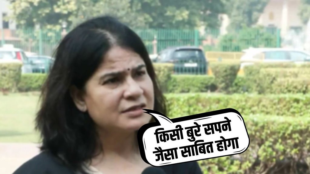 stray dogs, supreme court, dog lover stray dogs, supreme court, dog lover