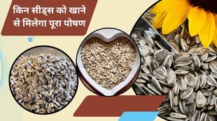 Sunflower seeds benefits,Raw vs roasted sunflower seeds, Nutrient absorption,Antioxidant bioavailability, Roasted seeds nutrition