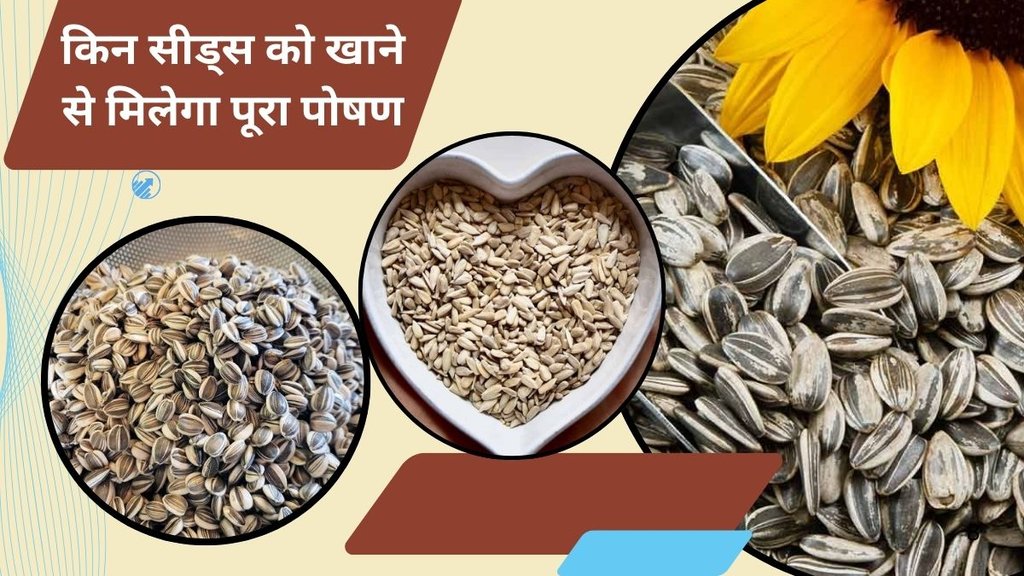 Sunflower seeds benefits,Raw vs roasted sunflower seeds, Nutrient absorption,Antioxidant bioavailability, Roasted seeds nutrition Sunflower seeds benefits,Raw vs roasted sunflower seeds, Nutrient absorption,Antioxidant bioavailability, Roasted seeds nutrition