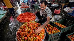 एशिया की सबसे बड़ी थोक मंडी आजादपुर में आधे से भी कम आ रहे टमाटर, दामों में आया भयंकर उछाल