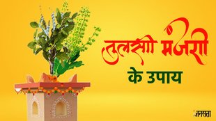 Tulsi ke Upay, Tulsi ke Upay in hindi, vastu tips tulsi, tulsi pr manjari aane pr kya karein, tulsi manjari tips, tulsi manjari ke upay, tulsi manjari in h indi, tulsi manjari astro tips, tulsi manjari, tulsi ke vastu tips, tulsi ke upay, trendingwidget, dhan ke liye tulsi ke upay, astro remedies for tulsi manjari, तुलसी मंजरी, तुलसी के उपाय