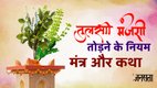 Tulsi ke Upay, Tulsi ke Upay in hindi, vastu tips tulsi, tulsi pr manjari aane pr kya karein, tulsi manjari tips, tulsi manjari ke upay, tulsi manjari in h indi, tulsi manjari astro tips, tulsi manjari, tulsi ke vastu tips, tulsi ke upay, trendingwidget, dhan ke liye tulsi ke upay, astro remedies for tulsi manjari