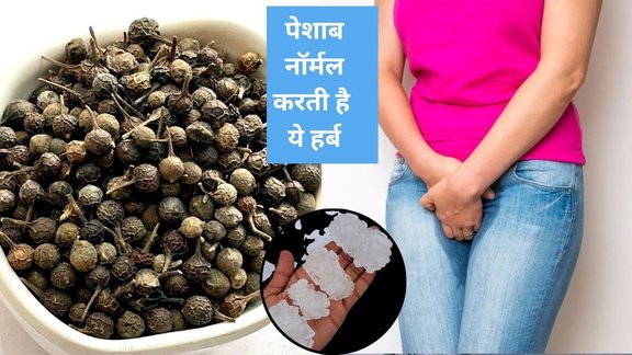 Kabab Chini benefits, Kabab Chini for urine dribbling, Ayurvedic remedy for urine infection,UTI treatment,Natural treatment for urinary discharge,