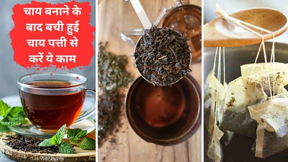 Bachi hui chai patti ka kya kare | Smart Ways to Reuse Leftover Tea Leaves | uses of leftover tea leaves