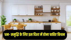 Vastu Tips: घर की इस दिशा में होनी चाहिए किचन, मां लक्ष्मी हमेशा रहती हैं मेहरबान, धन- धान्य की नहीं रहती कमी