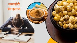 मखाना के साथ गुड़ सर्दियों में बनेगा स्ट्रॉन्ग कॉम्बो, बॉडी के अंग-अंग की मिट जाएगी कमजोरी, एक्सपर्ट से जानिए फायदे