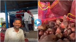 साल भर की मेहनत के बाद मंडी में 2.30 रुपये प्रति किलो के हिसाब से बिका प्याज, रसीद हाथ में आते ही हंसने लगा किसान