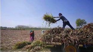 Agriculture in India | latest news |
