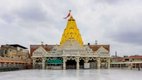 Ambaji Temple Dispute, Gujarat High Court ruling, Arasuri Ambaji Temple ownership