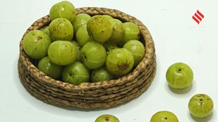 Amla Superfood Guide 10 Delicious and Powerful Ways to Add It to Your Diet