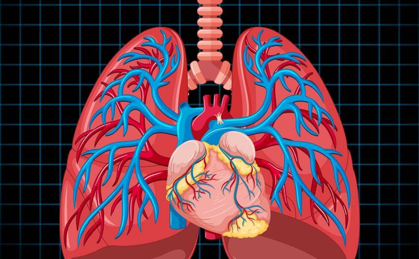 Army jawan fitness tips