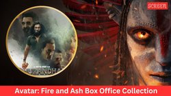 Avatar: Fire and Ash BO Collection: ‘धुरंधर’ की आंधी में नहीं टिक पाई ‘अवतार 3’, जानें पहले दिन किया कितना कलेक्शन