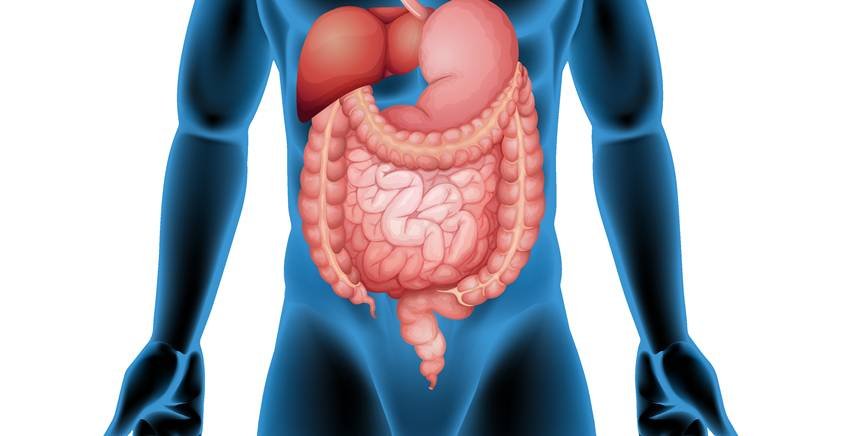 Ayurvedic remedies for better digestion