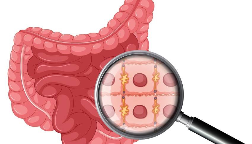 Ayurveda for constipation and gas