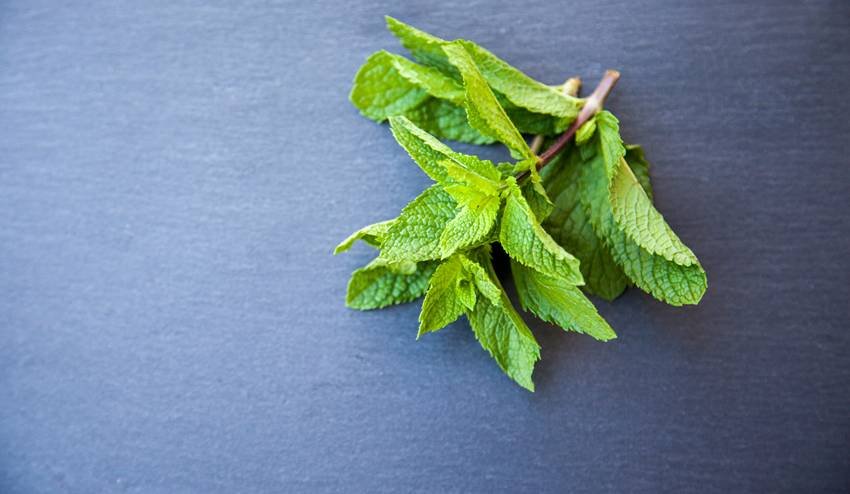 best Ayurvedic remedies for constipation