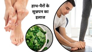moringa leaves, health benefits of moringa leaves, What can moringa leaf cure, What are the benefits of moringa leaves boiled,Benefits of Moringa Leaves For Immunity,