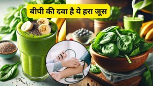 Spinach Fenugreek leaves Coriander leaves Curry leaves and radish leaf for blood pressure control, Green leafy vegetables, Blood pressure control,