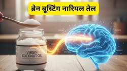 ब्रेन के लिए ‘सुपरफ्यूल’ है नारियल तेल! रोज सुबह पिएं 1 चम्मच, भूलने की बीमारी का होगा जड़ से इलाज, रिसर्च से जानें कैसे ये ब्रेन सेल्स को देता है नई जान
