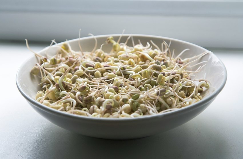 Bean Sprouts unsplash