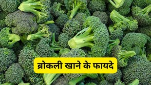 broccoli benefits in hindi, winter vegetables for immunity, broccoli daily diet benefits, broccoli healthy vegetable, broccoli cooking tips hindi, सर्दियों में रोज ब्रोकली खाने से क्या होता है, ठंड में ब्रोकली क्यों है बेस्ट सब्जी, ब्रोकली खाने से कौन-कौन से फायदे होते हैं, सर्दियों में इम्युनिटी बढ़ाने वाली सब्जियां, ब्रोकली कैसे पकाएं ताकि फायदे बने रहें, ठंड में ब्रोकली खाने के फायदे, ब्रोकली सेहत के लिए क्यों अच्छी है