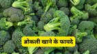 broccoli benefits in hindi, winter vegetables for immunity, broccoli daily diet benefits, broccoli healthy vegetable, broccoli cooking tips hindi, सर्दियों में रोज ब्रोकली खाने से क्या होता है, ठंड में ब्रोकली क्यों है बेस्ट सब्जी, ब्रोकली खाने से कौन-कौन से फायदे होते हैं, सर्दियों में इम्युनिटी बढ़ाने वाली सब्जियां, ब्रोकली कैसे पकाएं ताकि फायदे बने रहें, ठंड में ब्रोकली खाने के फायदे, ब्रोकली सेहत के लिए क्यों अच्छी है