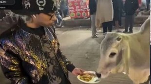 Cow Eat Momos, Video Viral, Viral Video, Trending Video, Chicken Momos, Youtuber hrithik chandna