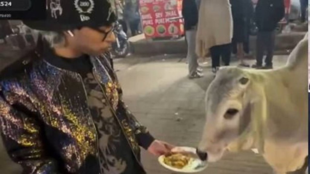 Cow Eat Momos, Video Viral, Viral Video, Trending Video, Chicken Momos, Youtuber hrithik chandna Cow Eat Momos, Video Viral, Viral Video, Trending Video, Chicken Momos, Youtuber hrithik chandna