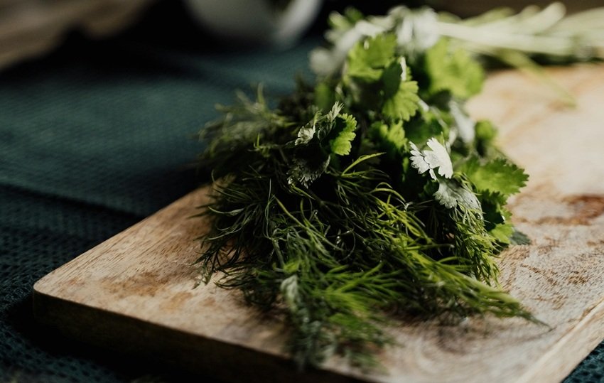 Coriander Leaves A Natural Detox and Immunity Booster