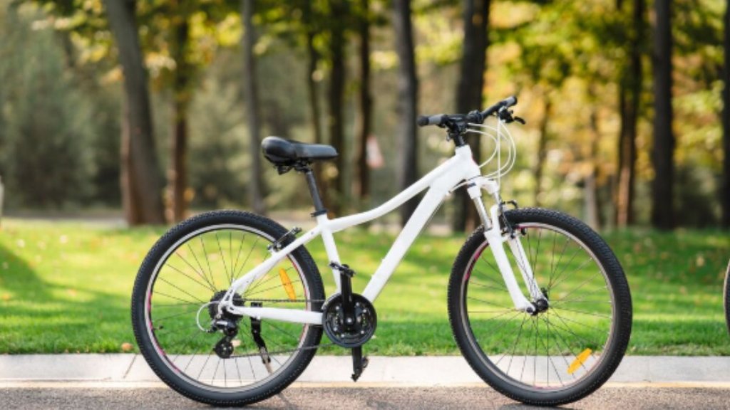 Hyderabad, School Principal, Cycle