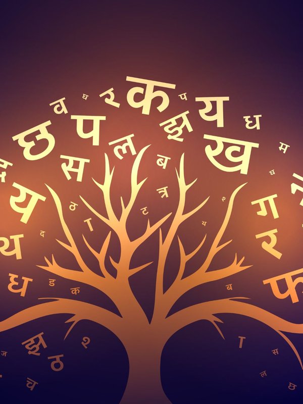 Daily used English words