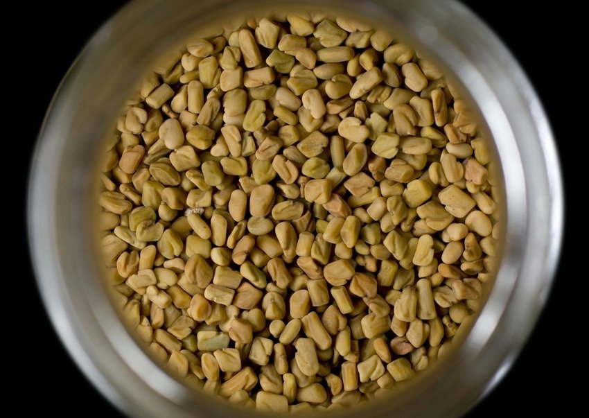 Dandruff treatment Ayurveda