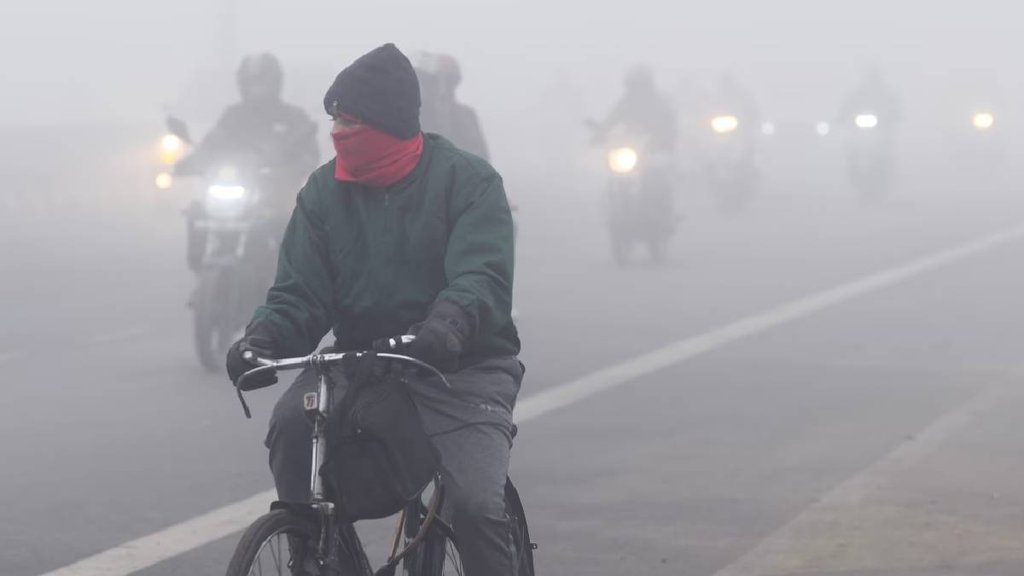 Delhi NCR cold wave